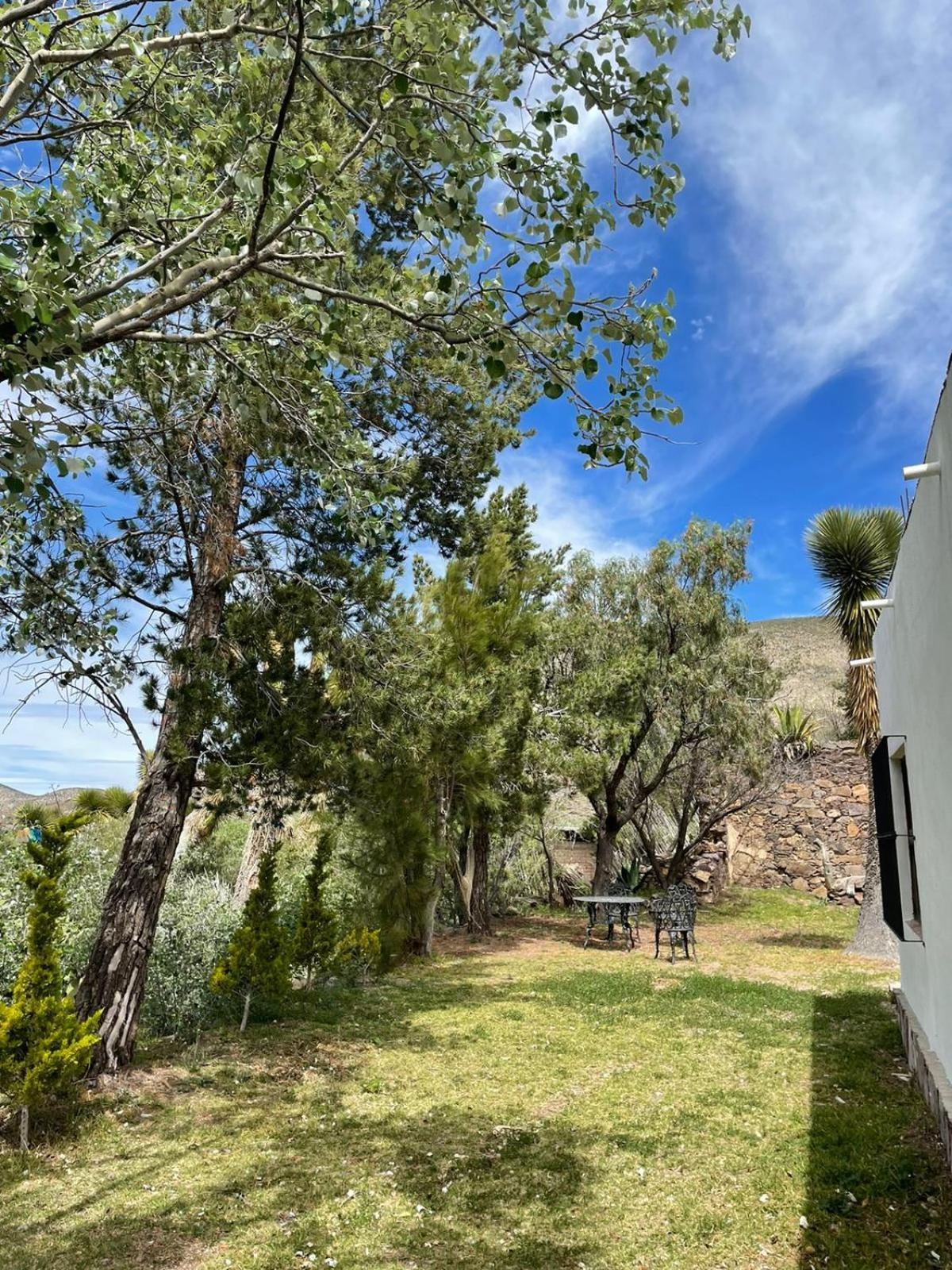 Ventana Al Desierto Guest House Catorce Exterior foto