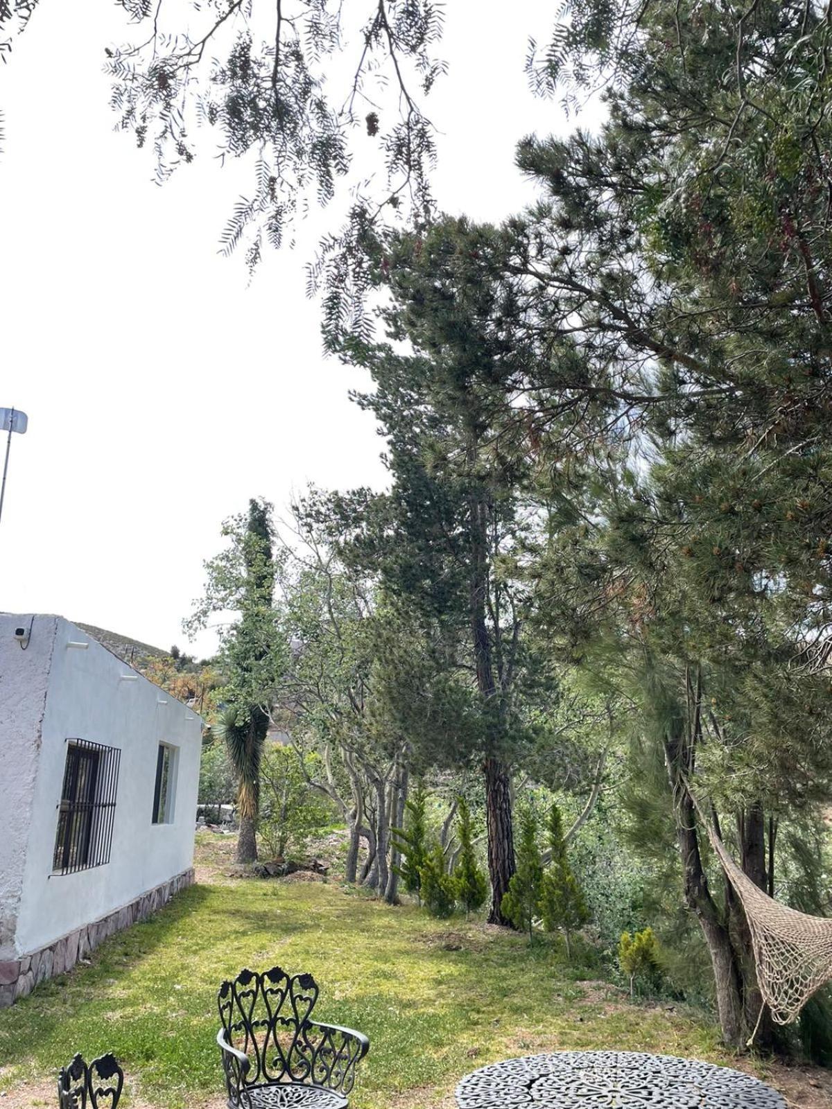 Ventana Al Desierto Guest House Catorce Exterior foto