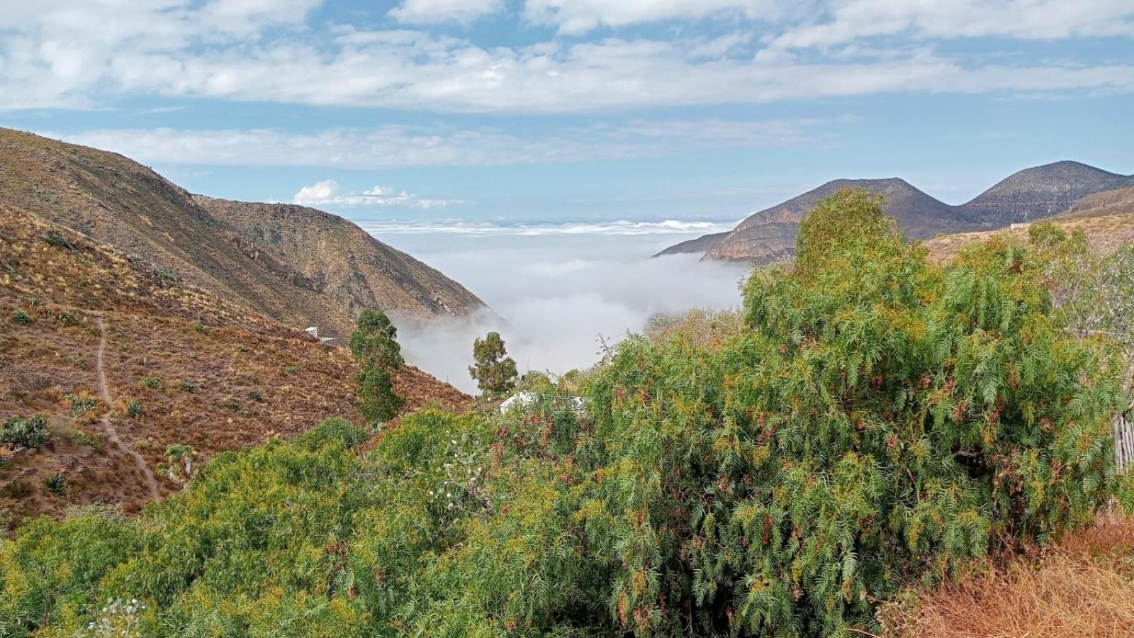 Ventana Al Desierto Guest House Catorce Exterior foto
